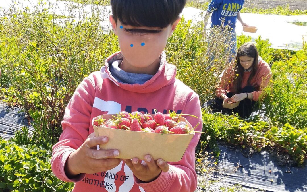 Nos éco délégués préparent le dessert BIO de la cantine